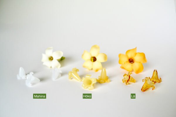 Batch1_0049 Puakenikeni Kui