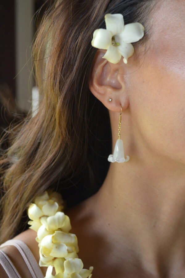 Batch1_0158 Puakenikeni Kaula