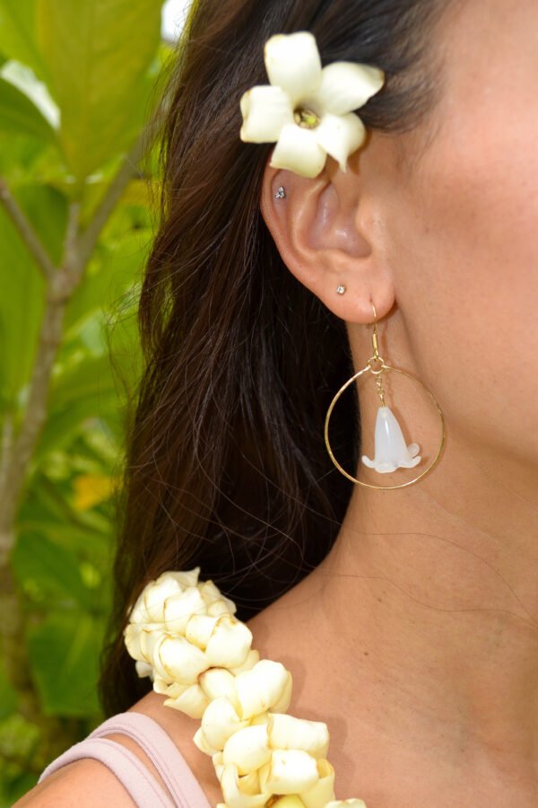 Batch1_0190 Puakenikeni Hāpai