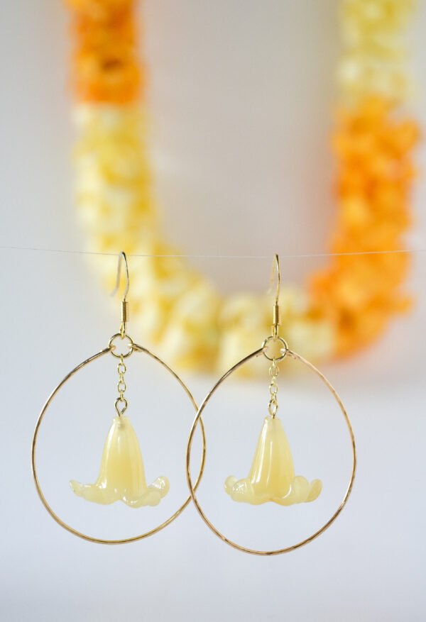 Batch1_0307 Puakenikeni Hāpai