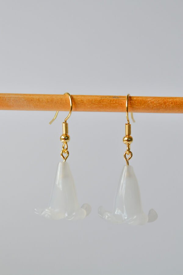 DSC_0481 Puakenikeni Kahi