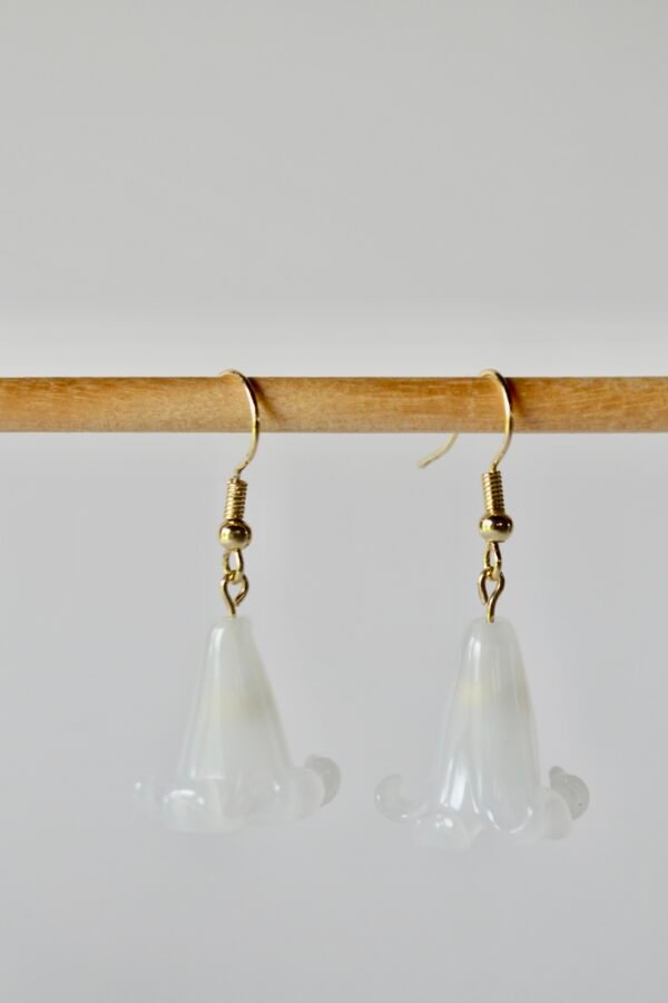 kahi mahina Puakenikeni Kahi