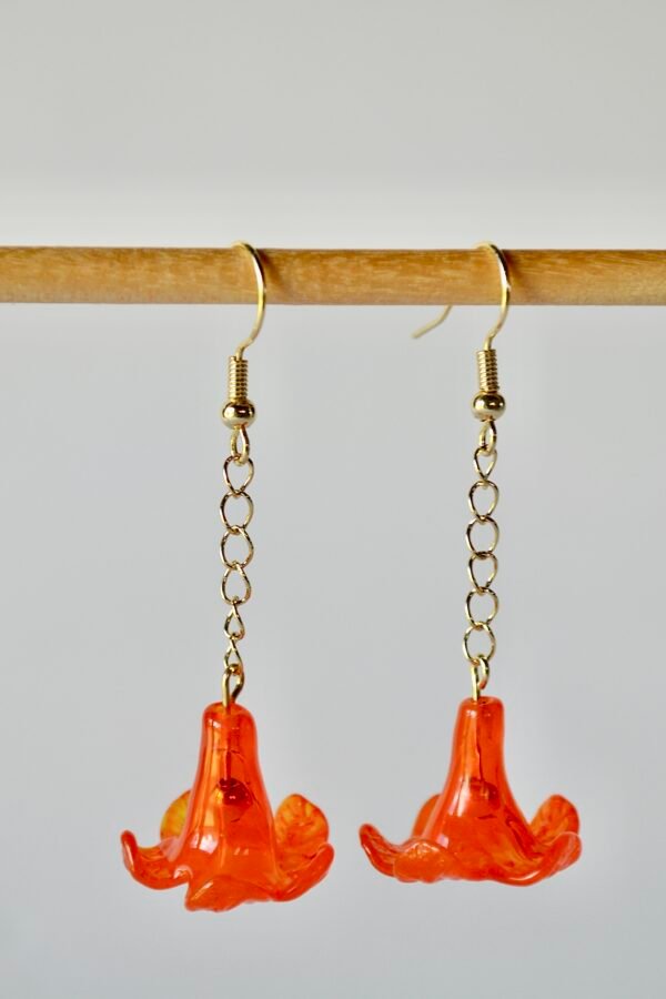 36D8A3E9-A0ED-4AB8-A8B4-E1A8A04B5B7C_1_201_a Kou Kaula