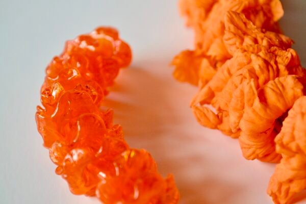 3BDD55E9-9F49-4A34-AFC8-56259B55E8BB_1_201_a Kou Kui