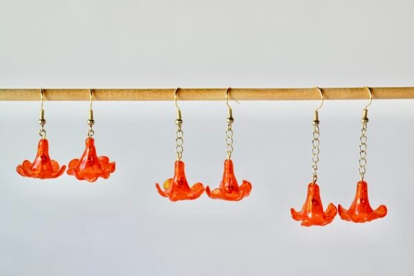 4AE3E697-74A8-47D6-B4F0-CBF33E96B7D8_1_201_a Kou Kaula