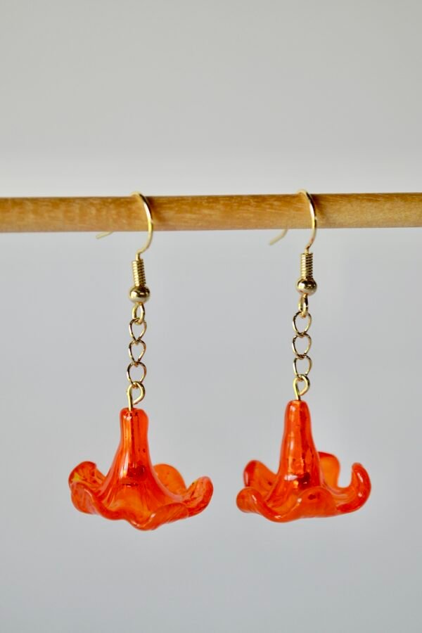 4FB0C944-0862-4498-8012-675131E0A262_1_201_a Kou Kaula