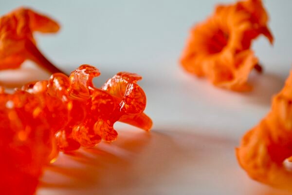 B33AECA9-DDE3-4AD6-ABAF-859B50A6D3B1_1_201_a Kou Wēkiu