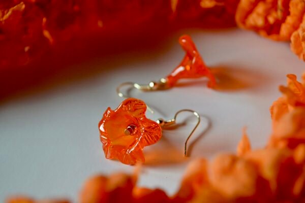 D7E7738E-EDD4-4705-A274-C81E8B6F9642_1_201_a Kou Kahi