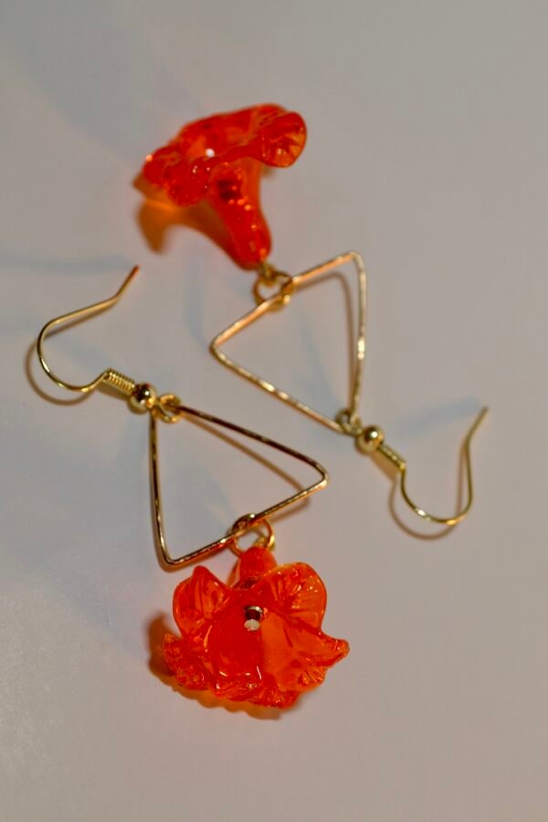 DSC_0020 2 Kou Wēkiu