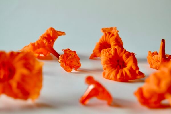 E8DB00D6-FAD6-4DA6-8520-7D1FA574C5A3_1_201_a Kou Kahi