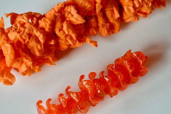 F68082D1-5A9F-4B57-98C0-AADB004EE99F_1_201_a Kou Kaula