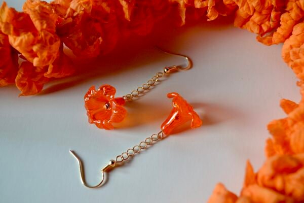 FC2EAADF-382A-463B-8062-648BFB437737_1_201_a Kou Kaula