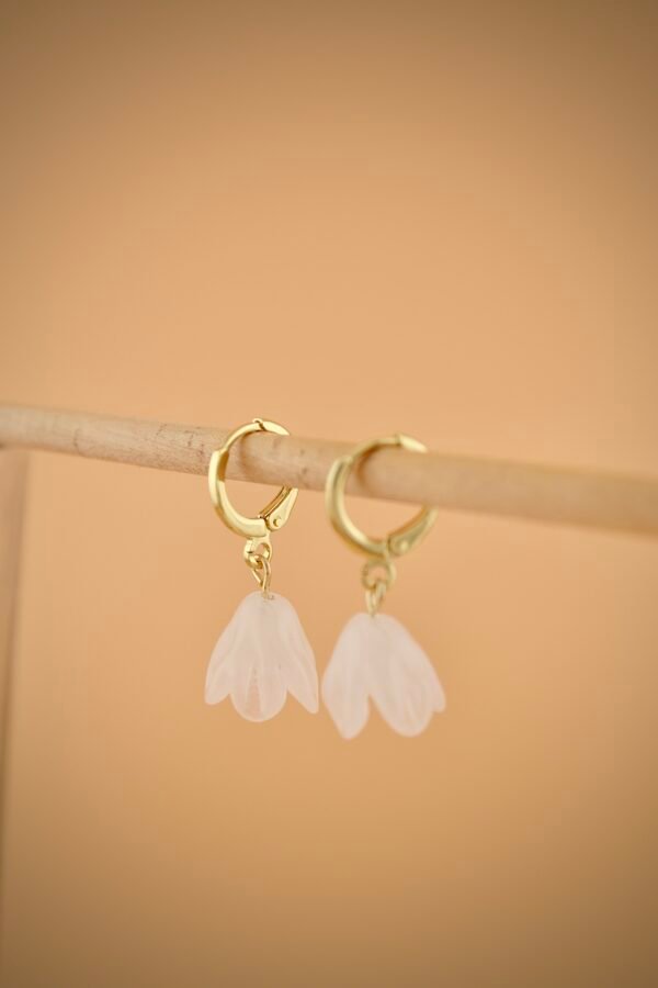 DSC_0385 Pikake Kahi