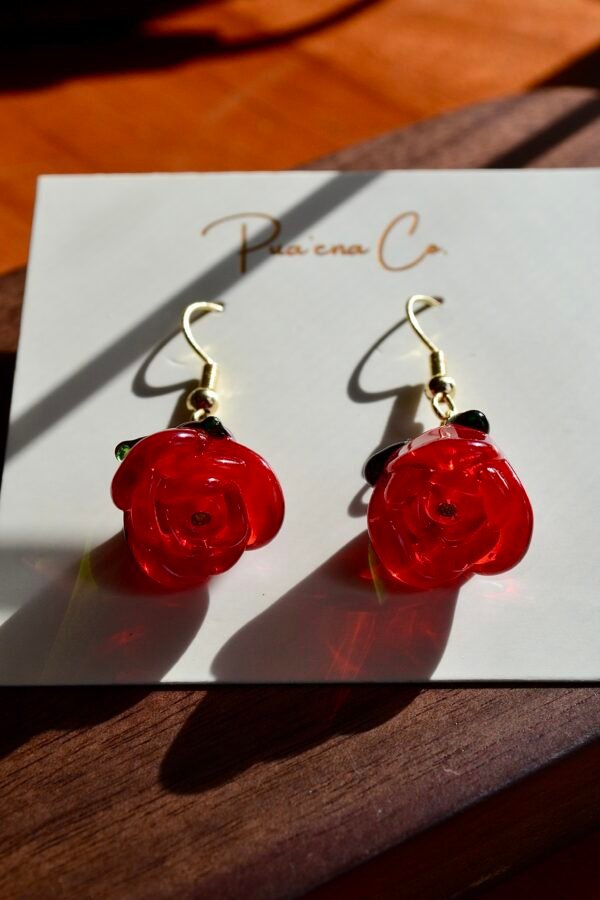 475B34C2-3E01-491E-9335-AD788BEC898A_1_201_a Ola Pauahi