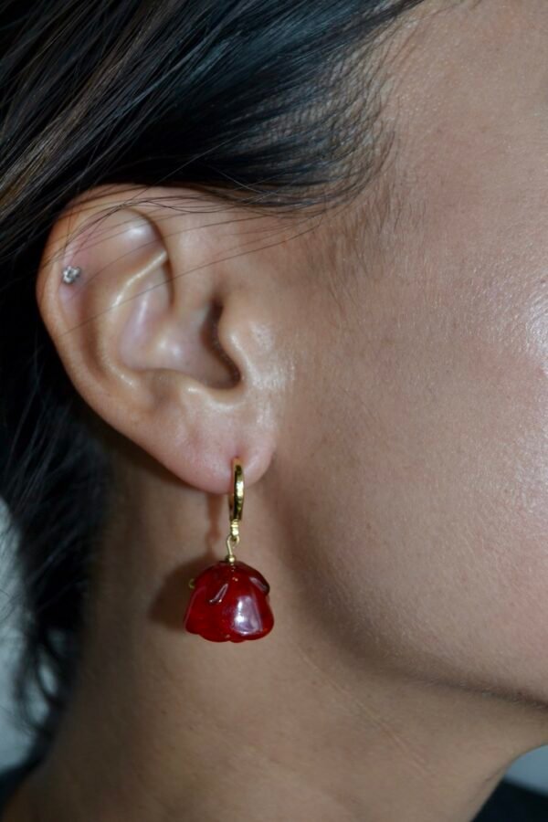 7244FFE3-864B-4864-8B68-FBBD9FD94920_1_105_c Ola Pauahi