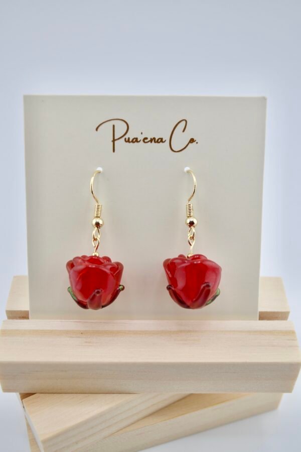 B6093D1A-6D78-473F-807E-F3938476EE32_1_201_a Ola Pauahi