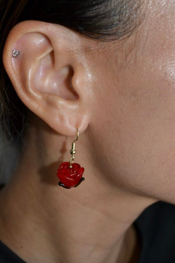 FB3DEF84-9BF4-4206-80B0-23C95C709B40_1_105_c Ola Pauahi